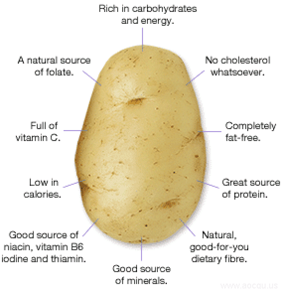 potato enhance Brain & Nervous Activity